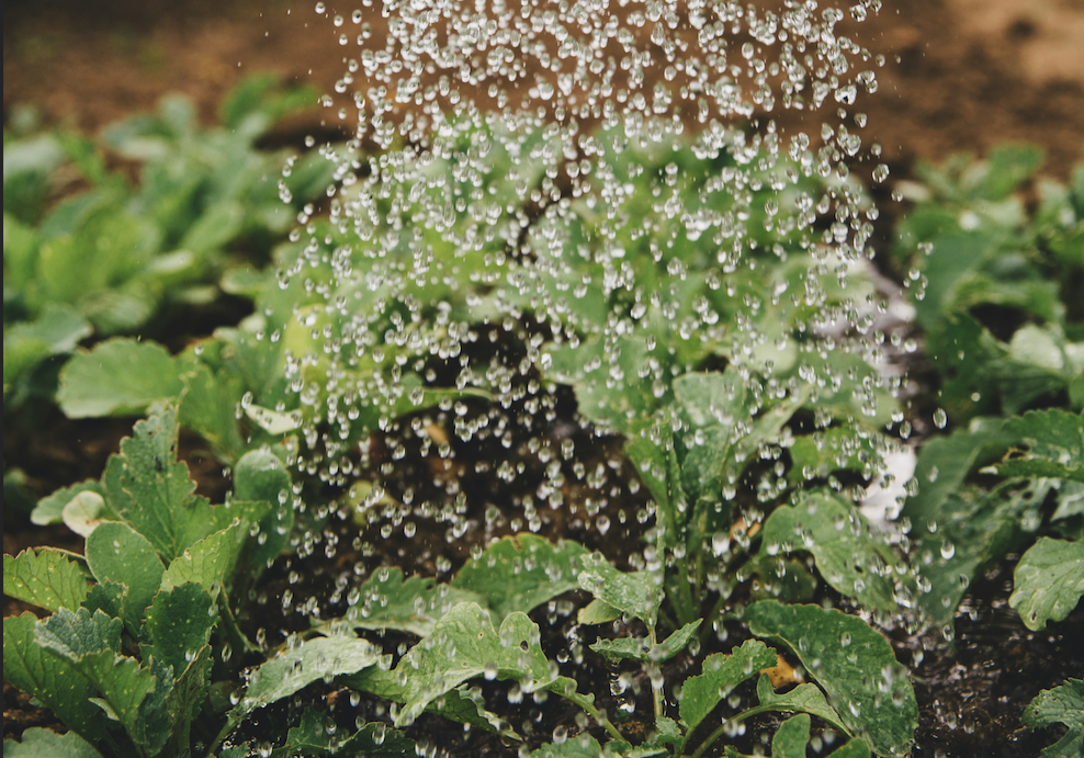 Screenshot 2025-04-30 at 11.58.29 AM